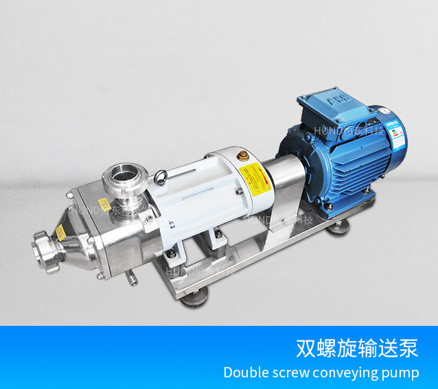 double screw pump