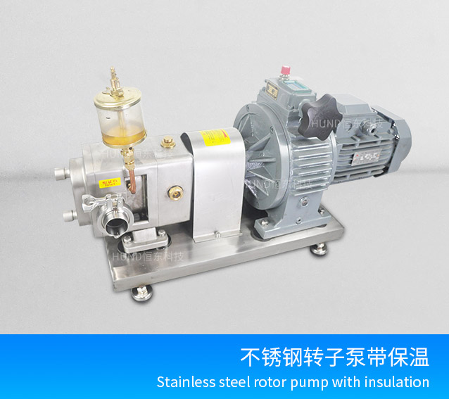 rotary lobe pump